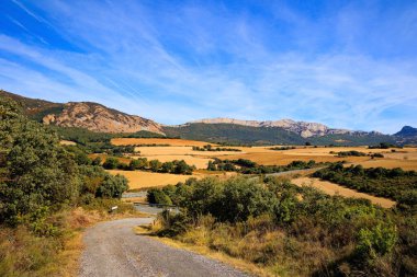 Hasattan sonra kırsal alanlar. Sıcak sonbahar. Bask ülkesi, Guipuzcoa ili, İspanya. Köy tarlaları arasında yol