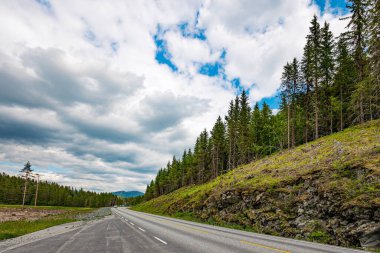 Roldal 'a giden muhteşem manzara yolu. Batı Norveç 'e yolculuk. Yeşil çiçekli dağlar kozalaklı ormanlarla kaplı. Sıcak bulutlu Temmuz günü