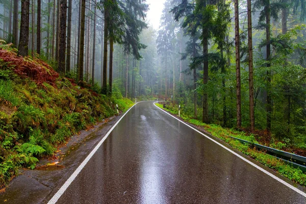 シュワルツァルト 滑らかなハイウェイは雨で輝いている 最初の秋の雨 ヨーロッパの中心にある有名な森 朝から霧 10月 ドイツ — ストック写真