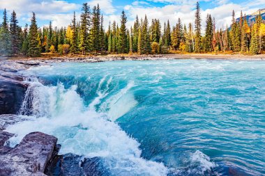 Turkuaz su. Athabasca Şelalesi Alberta 'daki en güçlü şelaledir. Jasper Parkı. Kanada Kayalıkları.