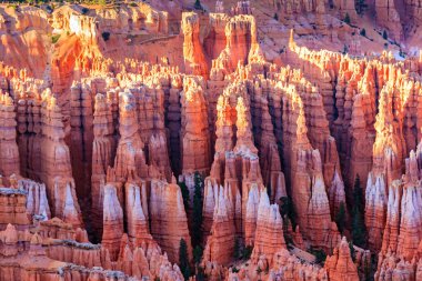 Resimli dev hudu duvarı. Bryce Canyon, ABD. Erozyonun yarattığı doğal amfitiyatro. Örümceklere benzeyen kabadayılar gökyüzünü işaret ediyor..