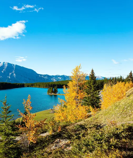 Two Jack Lake. Small island off the coast is overgrown with pine trees. Huge glacial lake reflects the sun. Autumn Indian Summer in Canada. The famous Rocky Mountains