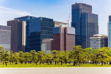 Palace Meydanı 'ndaki güzel bir parktaki modern gökdelenler. Tokyo mu? Eski Edo Kalesi 'nde bulunan imparatorların evi.. 