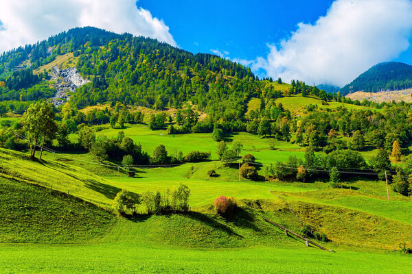 The green slopes of the mountains. Forested mountains of the Hohe Tauern National Park. Austria. Magnificent sunny day.