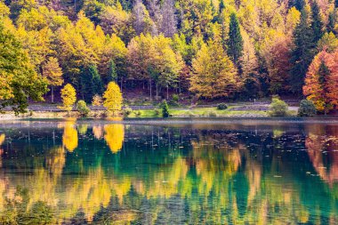 Sonbahar ormanlarının renkleri gölün buzlu suyuna yansımaktadır. Dağlar sabah sisiyle kaplıydı. İtalya 'daki Iago Fusine tablosu. Gün doğumu.