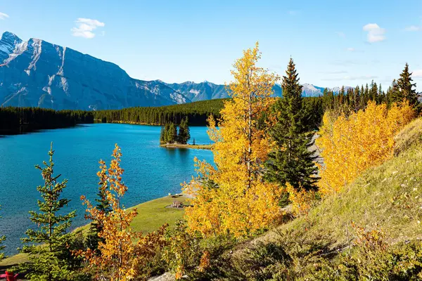 Two Jack Lake. Small island off the coast is overgrown with pine trees. Huge glacial lake reflects the sun. Indian Summer in Canada. The famous Rocky Mountains