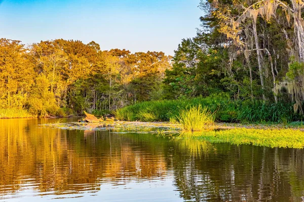 Gün batımı. Louisiana bataklıkları. Mississippi Havzası 'nın korunan bölgelerine tekne gezisi. New Orleans bölgesi. Ayna suyunda muhteşem yansımalar. Amerika 'ya Seyahat. 