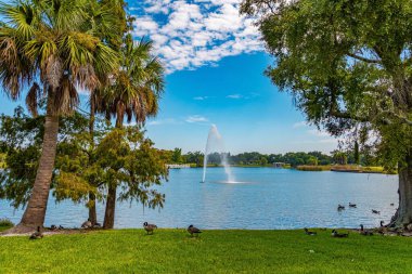 Renkli kaz sürüsü gölün kıyısında otluyor. - New Orleans. Şehir Parkı 'nda sessiz göller ve su kuşları var. Resimli çeşme göle sıçrıyor..