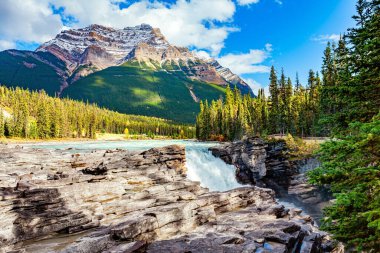 Canadian Rockies. Athabasca Falls is the most powerful waterfall in Alberta. The magnificent turquoise color of the water. Jasper National Park.  clipart