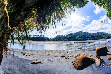 Tongaporutu sahilinde inanılmaz kaya oluşumları. Pasifik Okyanusu 'nda gelgit düşük. Dünya 'nın sonuna yolculuk. Yeni Zelanda. Kuzey Adası
