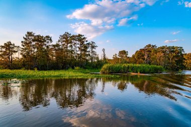 Ayna suyundaki yansımalar. Gün batımı. Louisiana bataklıkları. Mississippi Havzası 'nın korunan bölgelerine tekne gezisi. New Orleans bölgesi. Amerika 'ya Seyahat. 