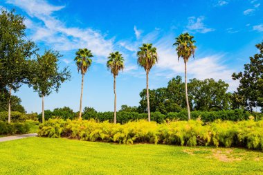 Unutulmaz New Orleans. Muhteşem sessiz gölleri ve su kuşlarıyla muhteşem şehir parkı, vatandaşlar ve turistler için favori tatil yeridir. Amerika 'nın en büyük parklarından biri. Yüzyıllık meşe ağaçları ve ince palmiye ağaçları parkı süslüyor.