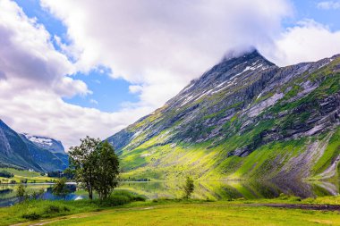  Eidsvatnet - Norveç 'teki görkemli göl. Temiz şeffaf suyu olan derin bir göl. İskandinavya 'da yaz mevsimi. Su yemyeşil bulutları, mavi gökyüzünü ve ormanlı kıyıları yansıtır. Yeşil Dünya. 