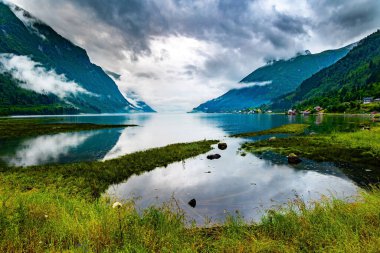 Swampy shores of the lake. Picturesque valley surrounded by high forested mountains. Cold summer in Norway. Jostedalsbreen Park.  clipart