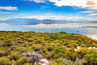 Dev Antilop adasının içindeki muhteşem göl. Büyük Salt Lake. Utah. ABD. Bulutlar ve dağların yansıması suya
