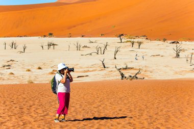 Pembe pantolonlu kadın manzaranın fotoğrafını çekiyor. Kurumuş gölün dibi ve antik ağaçların taşlaşmış kalıntıları. Namib Çölü. Park Namib-Naukluft. 