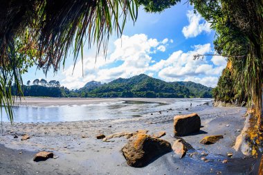 Pasifik sahilinde gelgit var. Kıyı boyunca uzanan dar kum şeridi açığa çıktı. Yeni Zelanda. Dünyanın sonuna büyülü bir yolculuk.