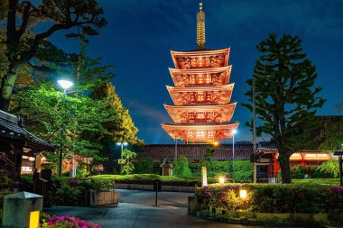 Senso-ji Tokyo 'daki en eski Budist tapınağıdır. Muhteşem tapınak kompleksi gece gökyüzüne karşı güzelce aydınlatılmış..