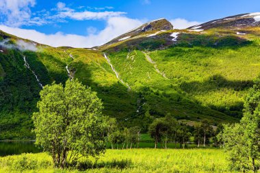 Norveç 'in merkezindeki resimli dağlar. Dağın tepesinde kar var. İskandinavya 'da yaz. 