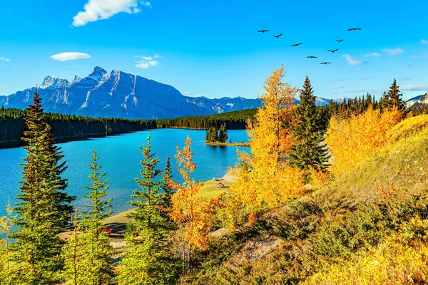 stock image Rocky Mountains in Canada. The cold emerald green waters of the lake reflect the surrounding mountains. Autumn yellow-orange grass and trees set off the blue of the water. 