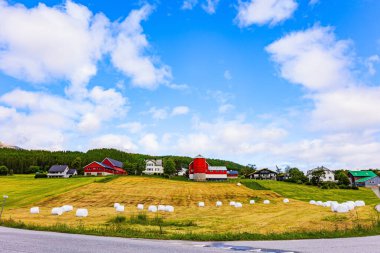  Tarlalarda kış için hazırlanmış çimen demetleri var. Norveç 'in merkezi. Tepelerden göle çağlayan şelaleler. Asfalt yolu dağların arasından geçer.