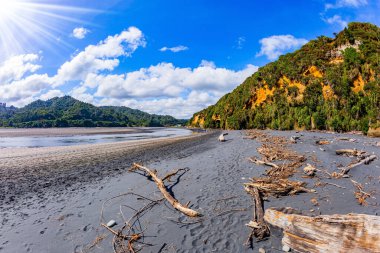 Dalgalar okyanusun kıyı şeridini ortaya çıkardı. Yeni Zelanda. Kuzey Adası. Pasifik kıyısındaki Tongaporutu plajı. Dünyanın sonuna büyülü bir yolculuk.. 