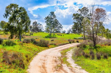Çiçek açan yeşil ve kırmızı bahar. İsrail. Saldırıdan sonra Gazze Şeridi sınırı. Güzel bulutlu bir şubat günü. Düz toprak yol tepelerden geçer..