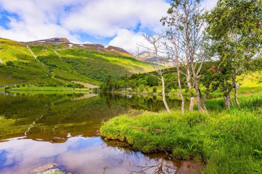  Norveç 'teki Eidsvatnet Gölü. Temiz şeffaf suyu olan derin bir göl. İskandinavya 'da yaz mevsimi. Su yemyeşil bulutları, mavi gökyüzünü ve ormanlı kıyıları yansıtır. Yeşil Dünya. 