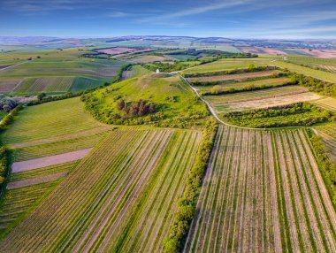 Drone fotoğrafçılığı. Güney Moravya, Avrupa 'da. Asfalt karayolu arazinin etrafından geçiyor. Hatta sıra sıra ekilmiş tarlalar. Akşamın erken saatlerinde. 