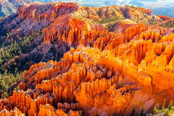 stock image Bryce Canyon National Park in the USA, Utah. Fantastic journey into a fabulous magical world. Unique geological structures of hoodoos. The orange color of the rocks 