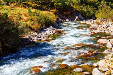 Erimiş ve gök mavisi renkli gök gürleyen su Krimmml Falls vadisine akar. Avusturya Alplerinin en güzel doğal alanları. Sonsuza dek yeşil ormanlarla kaplı dağlar..