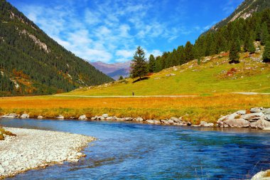 Babbling stream of clear, clean water flows into the Krimml Falls valley. The peaks of the Alps. The most beautiful natural areas of the Austrian Alps.  clipart