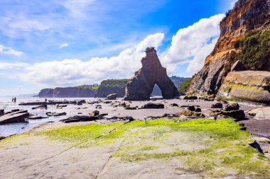 Kıyı kayalıkları. Dalgalar okyanusun kıyı şeridini ortaya çıkardı. Yeni Zelanda. Kuzey Adası. Pasifik kıyısındaki Tongaporutu plajı..