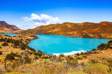 Şili Patagonya gezisi. Şili. Rio Paine nehri. Soğuk eritilmiş turkuaz renkli buzlu su. Torres del Paine Ulusal Parkı. 