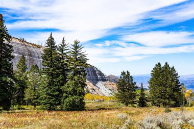 Moab 'a giden sonbahar ormanı. Ormanların içinden geçen resim gibi bir yol. Amerika 'nın batısına bir gezi. Sonbahar ormanları arasında resimli taş plato. Sonbaharın renkleri. 