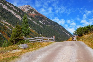 The road passes through picturesque valley. Krimml waterfalls are one of the most beautiful natural places in the world. Austrian Alps. Mountains covered with evergreen forest. clipart