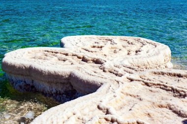 Tuz kristallerinin yuvarlak oluşumları. İsrail 'de ölü deniz kıyısı. Tuzlu Ölü Deniz, Orta Doğu 'da bir endorheik, tuzlu ve kapalı su kütlesidir..