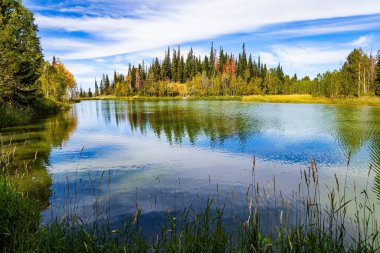  Amerika 'nın batısına sonbahar gezisi. Bulutlu gökyüzü gölün pürüzsüz soğuk suyuna yansıyor. Etrafı köknar ağaçlarıyla çevrili sessiz bir göl. Moab yolu. Utah 