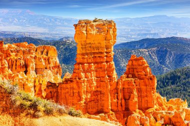 Satranç kalesi. Kayaların kırmızı ve turuncu renkleri. ABD 'deki Bryce Canyon Ulusal Parkı, Utah. Serserilerin eşsiz jeolojik yapıları. Çam ve çam ağaçları 