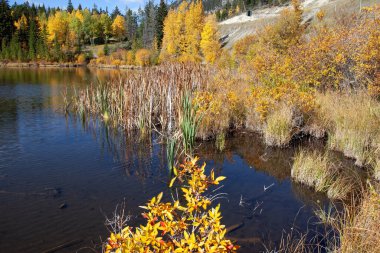 Hint yazı. Vermilion Gölleri. Harika sıcak bir sonbahar günü. Alberta. Kanada Kayalıklarında Banff Ulusal Parkı.