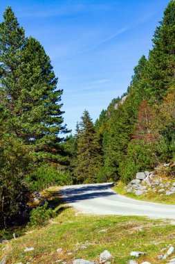 Krimmml Şelaleleri Avusturya Alplerinin en güzel doğal alanlarından biridir. Alp çayır taze çimenler. Dolambaçlı bir yol, pitoresk bir vadiden geçer.