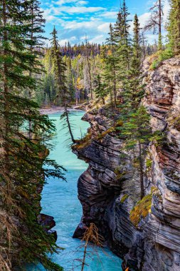 Kayaların ve kanyonun katmanlı yapısını farklı kayalar yarattı. Athabasca Şelalesi Alberta 'daki en güçlü şelaledir. Jasper Parkı. Kanada Kayalıkları. 