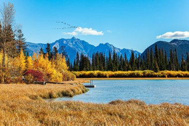 Vermilion Gölleri. Park Banff. Kanada Kayalıkları. Sakin, güneşli bir sonbahar günü. Parlak sarı çimenler ve gölleri çevreleyen görkemli dağlar..