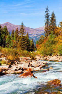 Erimiş gök mavisi akıntısı Krimmml Şelaleleri vadisine akar. Avusturya Alplerinin en güzel doğal alanları. Sonsuza dek yeşil ormanlarla kaplı dağlar..