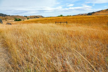 Amerika 'ya harika bir yolculuk. ABD. Missouri Nehri 'nin sonbahar kıyıları. Missouri Nehri Mississippi Nehri 'nin ana koludur.. 
