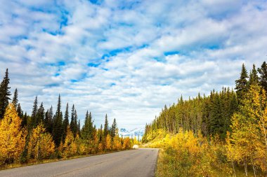 Maligne Gölü 'ne giden harika asfalt yol. Maligne Gölü dünyanın en büyük ikinci buzul gölüdür. Alberta, Kanada, Ulusal Park Jasper. Sessiz bulutlu bir sonbahar günü