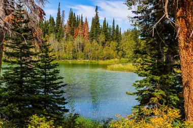 Etrafı köknar ağaçlarıyla çevrili sessiz bir göl. Bulutlu gökyüzü gölün pürüzsüz soğuk suyuna yansıyor. Amerika 'nın batısına sonbahar gezisi. Moab yolu. Muhteşem Utah manzarası. 