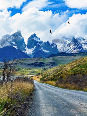 Los Cuernos 'un muhteşem kar kaplı siyah uçurumları. Şili Torres del Paine Ulusal Parkı. Toprak yol Pehoe Gölü kıyısı boyunca uzanıyor. Şili Patagonya 'ya egzotik yolculuk. 