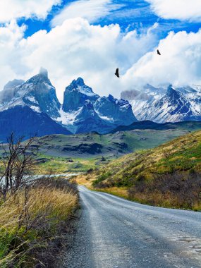 Magnificent snow-capped black cliffs of Los Cuernos. Chilean Torres del Paine National Park. Dirt road goes along the shore of Lake Pehoe. Exotic trip to Chilean Patagonia.  clipart