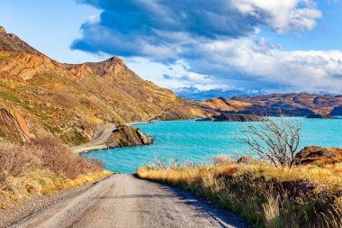 Şilili Torres del Paine. Patagonya. Vahşi guanaco çayırda otluyor. Pehoe Gölü 'nün masmavi suları eriyen buzullardan..